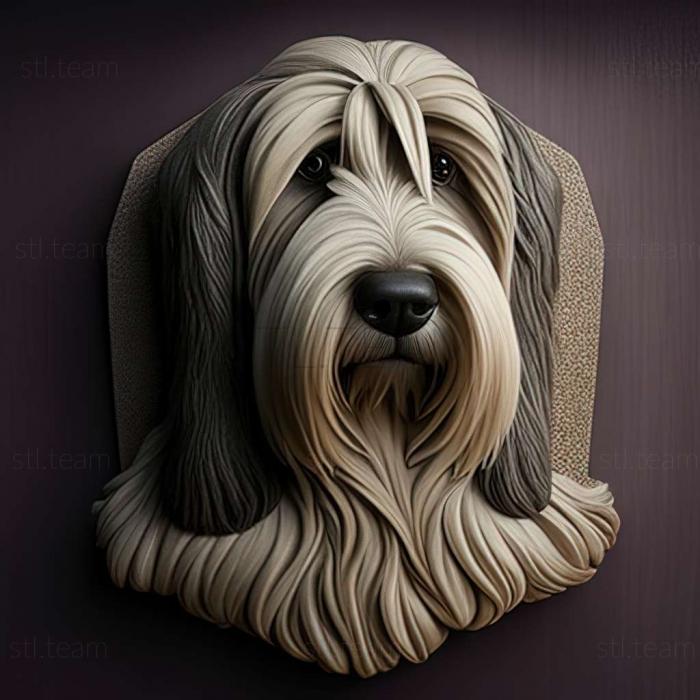 3D model Bearded Collie dog (STL)